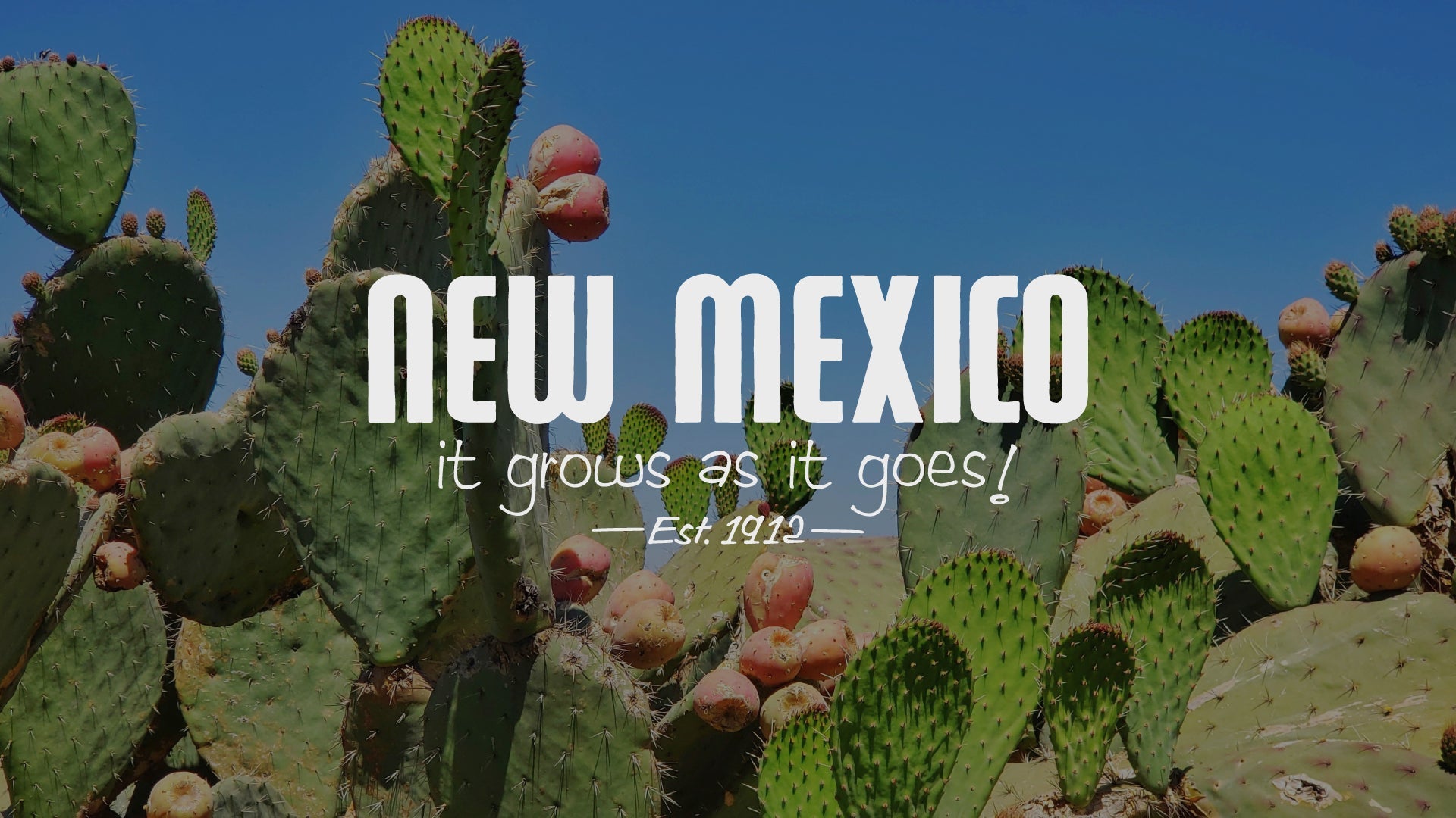 New Mexico