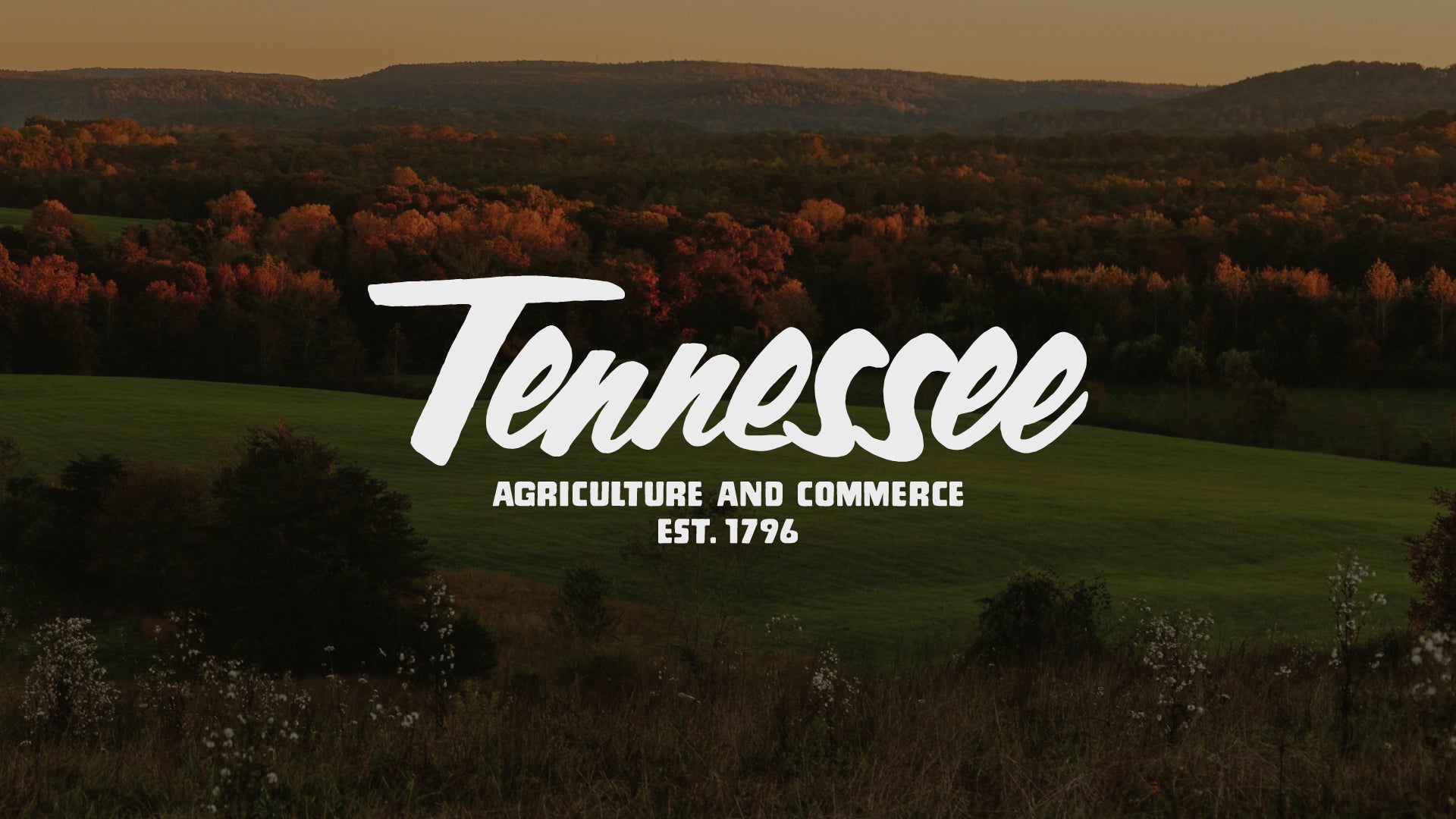 Tennessee